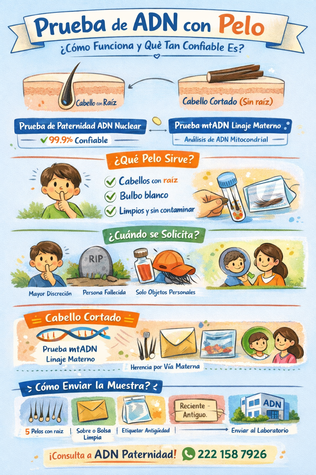 ¿Es posible realizar pruebas de ADN o paternidad con muestras de pelo?